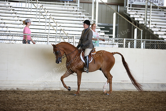 AHANC_Show18_SatPM_3995