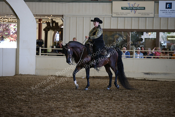 AHANC_Show18_SatPM_3943