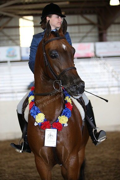AHANC_Show18_SatPM_3870