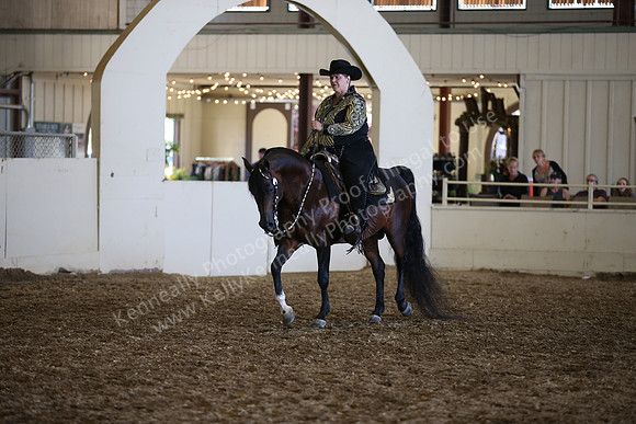 AHANC_Show18_SatPM_3945