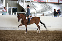 AHANC_Show18_SatPM_4002
