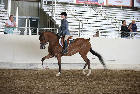 AHANC_Show18_SatPM_4002