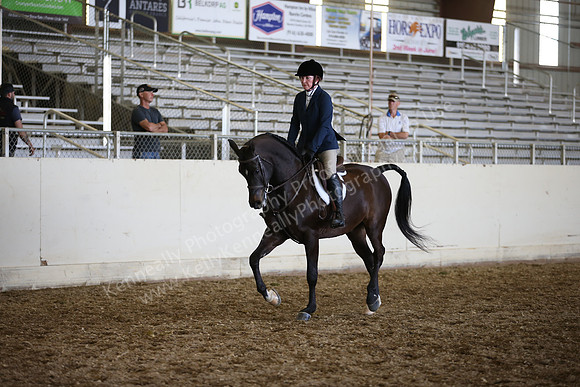 AHANC_Show18_SatPM_4003