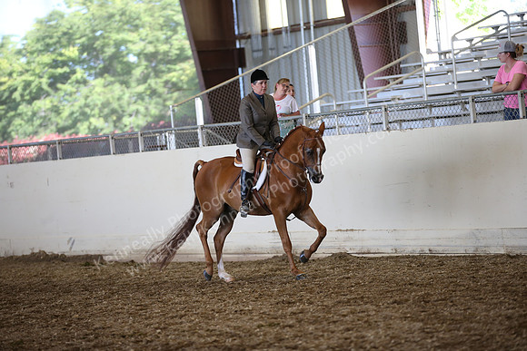 AHANC_Show18_SatPM_4011