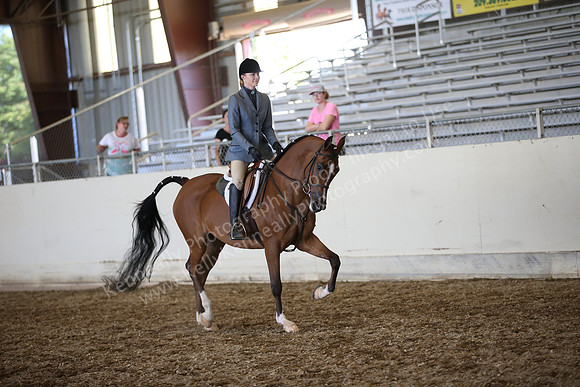 AHANC_Show18_SatPM_4014