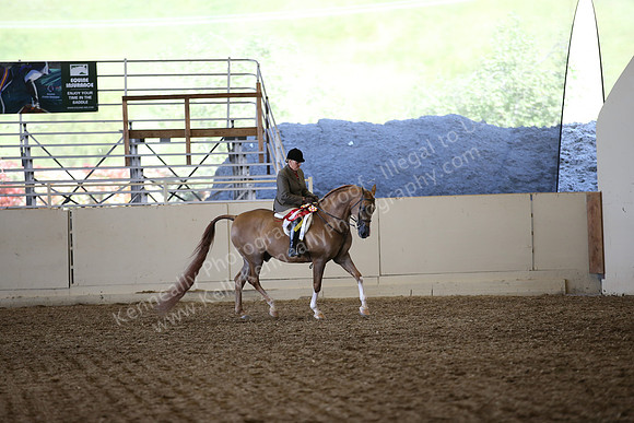 AHANC_Show18_SatPM_4021