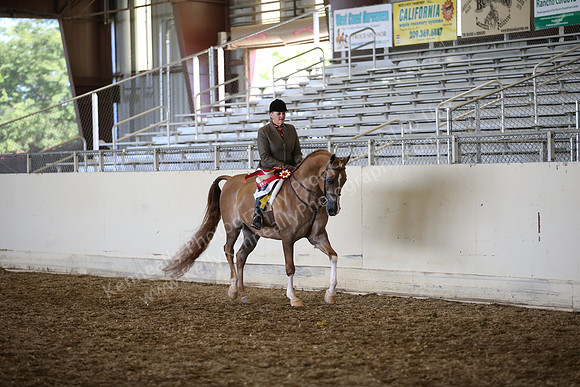 AHANC_Show18_SatPM_4027
