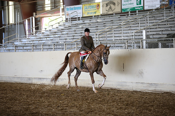 AHANC_Show18_SatPM_4028