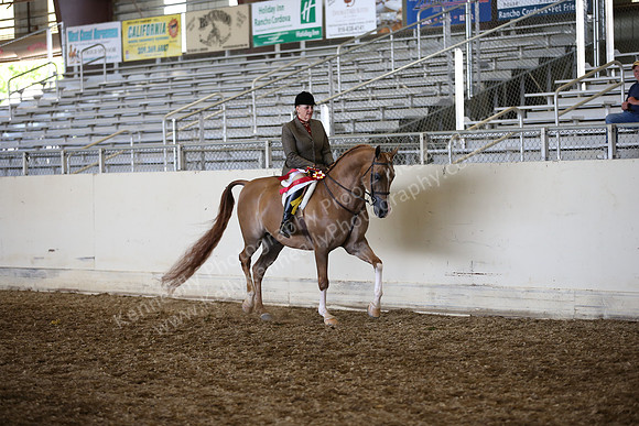 AHANC_Show18_SatPM_4029