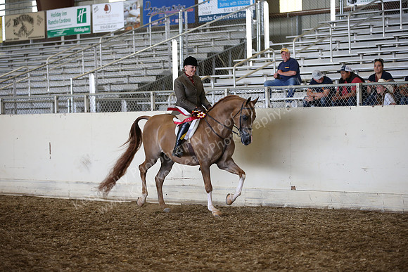 AHANC_Show18_SatPM_4030