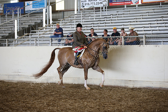 AHANC_Show18_SatPM_4031