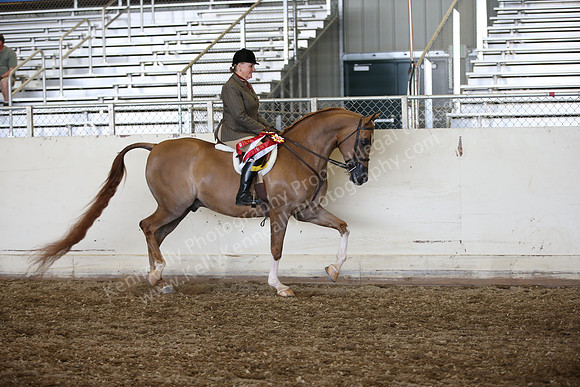 AHANC_Show18_SatPM_4033