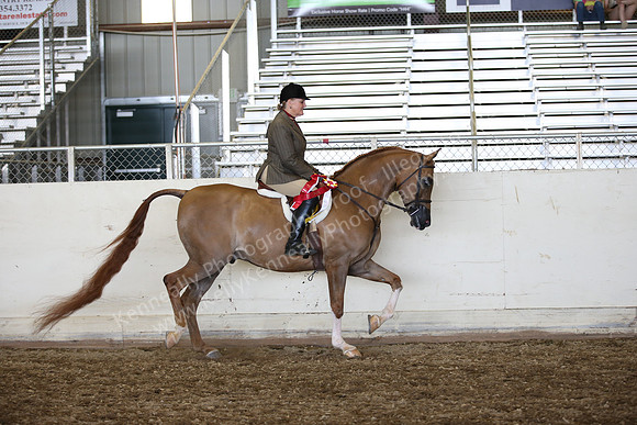 AHANC_Show18_SatPM_4034