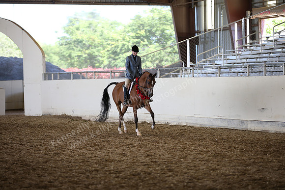 AHANC_Show18_SatPM_4035