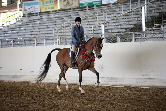 AHANC_Show18_SatPM_4038