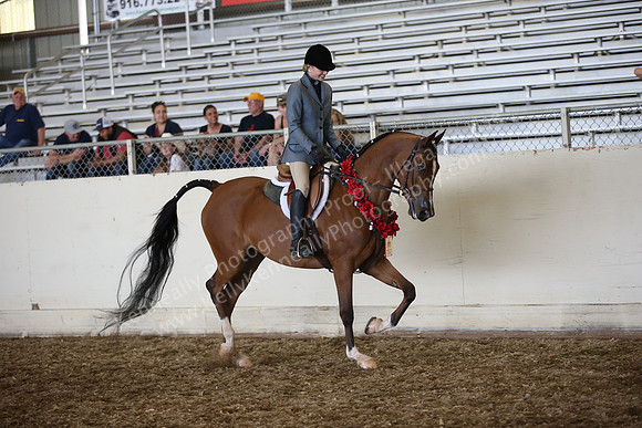 AHANC_Show18_SatPM_4040