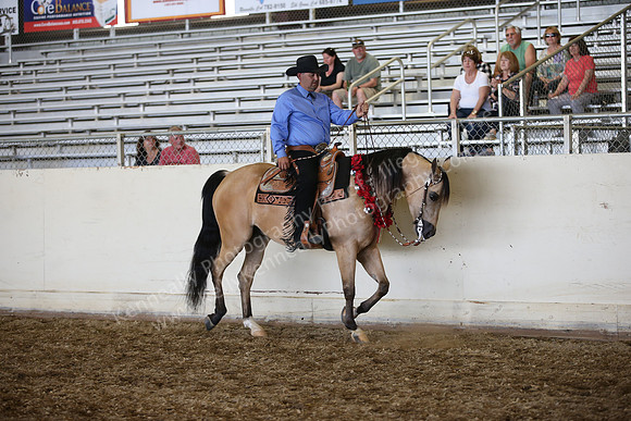 AHANC_Show18_SatPM_4080