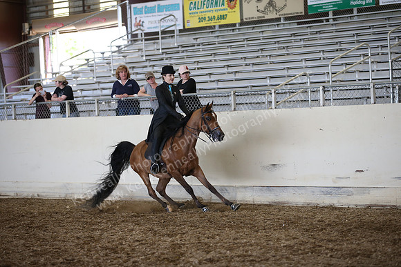 AHANC_Show18_SatPM_4138
