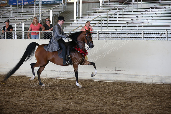 AHANC_Show18_SatPM_4143