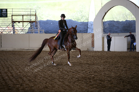 AHANC_Show18_SatPM_4148