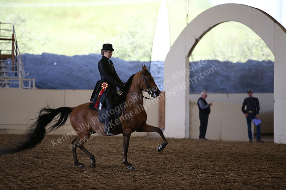AHANC_Show18_SatPM_4157