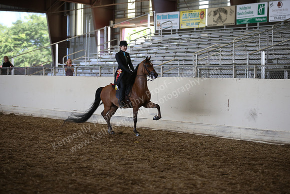 AHANC_Show18_SatPM_4160
