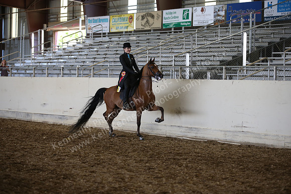 AHANC_Show18_SatPM_4161