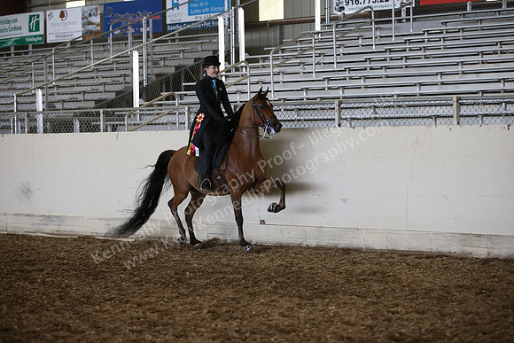 AHANC_Show18_SatPM_4163