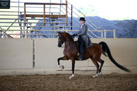 AHANC_Show18_SatPM_4090