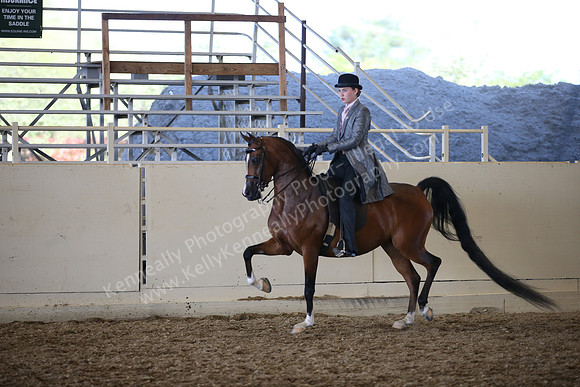 AHANC_Show18_SatPM_4090