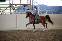 AHANC_Show18_SatPM_4095