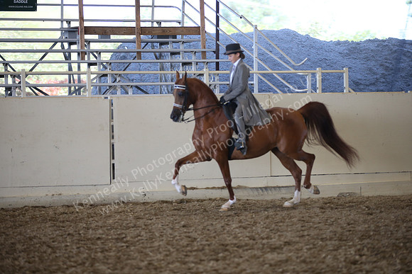 AHANC_Show18_SatPM_4095