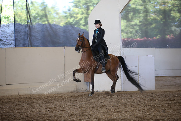 AHANC_Show18_SatPM_4101