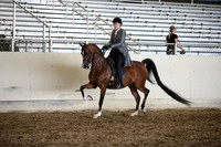 AHANC_Show18_SatPM_4109