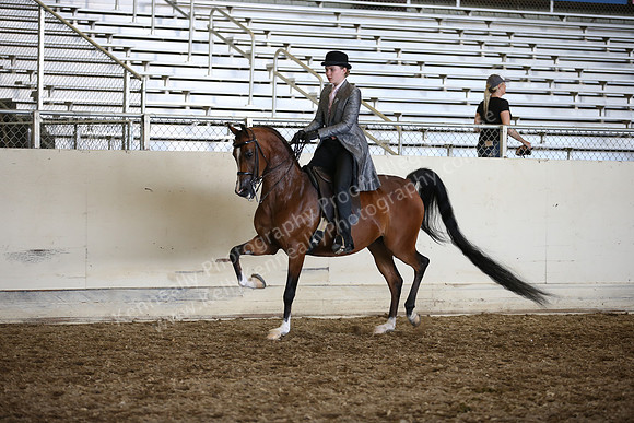 AHANC_Show18_SatPM_4109