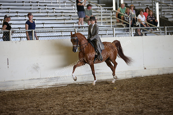 AHANC_Show18_SatPM_4111