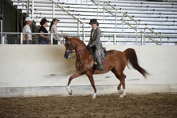 AHANC_Show18_SatPM_4113