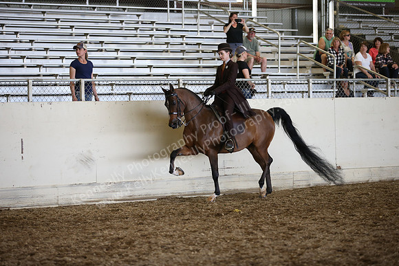 AHANC_Show18_SatPM_4114