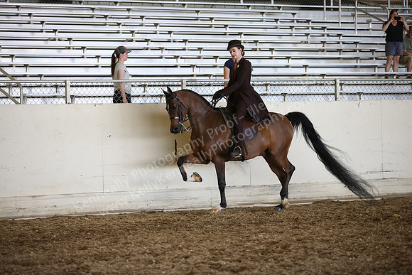 AHANC_Show18_SatPM_4115