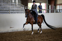 AHANC_Show18_SatPM_4126