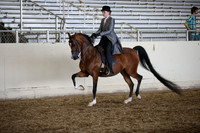AHANC_Show18_SatPM_4127