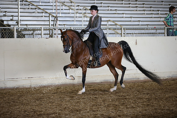 AHANC_Show18_SatPM_4127