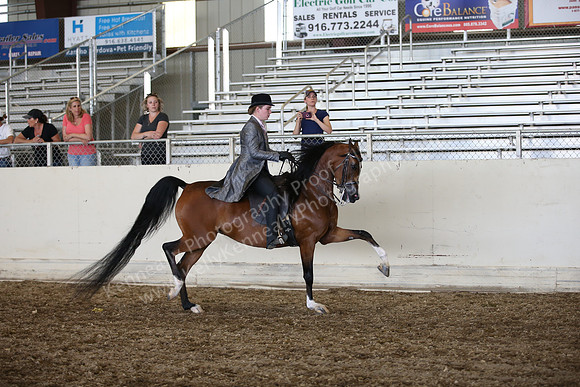 AHANC_Show18_SatPM_4131