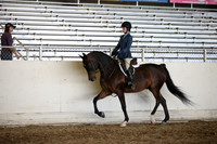 AHANC_Show18_SatPM_4183
