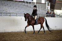AHANC_Show18_SatPM_4188