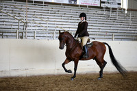 AHANC_Show18_SatPM_4189