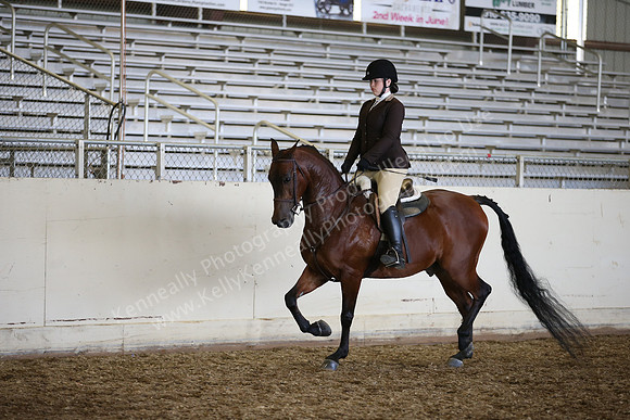 AHANC_Show18_SatPM_4189