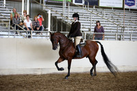 AHANC_Show18_SatPM_4191