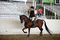 AHANC_Show18_SatPM_4192