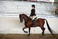 AHANC_Show18_SatPM_4193